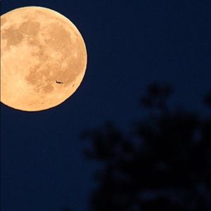 Meet your Posher, Alejandra